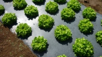 Teaser Association European Bioplastics Teaser Association European Bioplastics