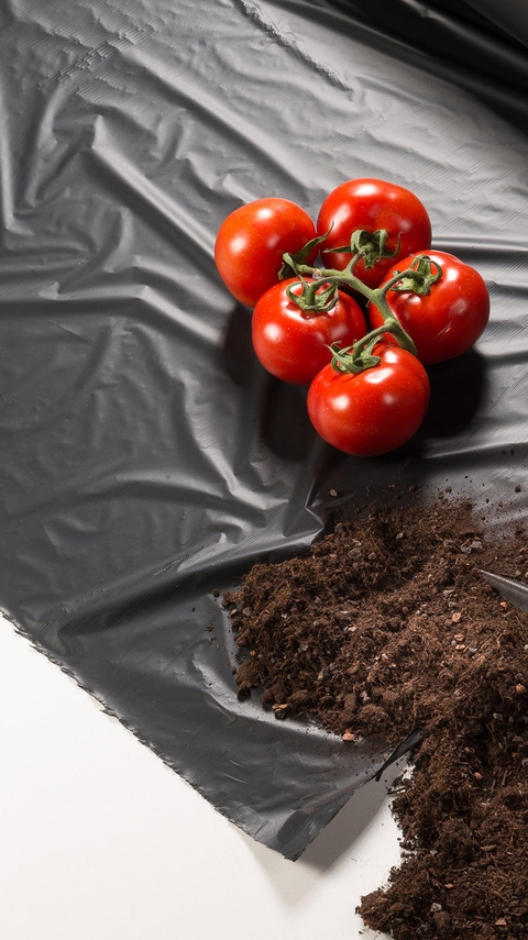 Mulch film made of ecovio® Mulch film made of ecovio®