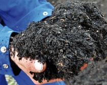 ecovio® compost in hands ecovio® compost in hands