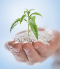 ecovio® Granulate with a plant ecovio® Granulate with a plant